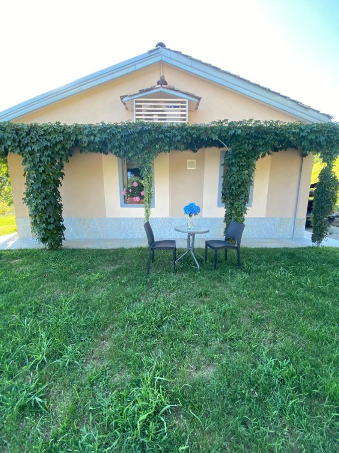 Cascina Serra Eco-House Beb Muzzano Eksteriør billede